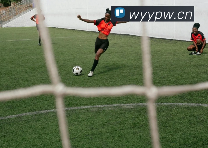 半岛官网地址APP 高清赛事图